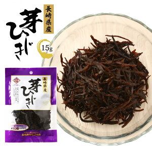 [CY] Ђ Y Ђ 15g /qWL Ђ 茧Y ϕ X` z |̕ T_ gbsO C wV[ ߂