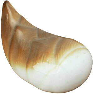 g Jg[Xg [l] u u |̎q /g ݂͂₫ l H   aH u Jg[ Xg WOK ` OX  sbN Jg[Xg