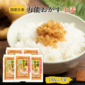 送料無料 [上沖産業] 漬物 万能 おかず 生姜 130g×5袋セット/国産/漬物/宮崎/九州産/生姜/薬味/ご飯のおとも