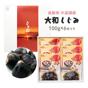  ΎY  X` pX^ p  [͑H]  ΎY  a݃Zbg 100gx6