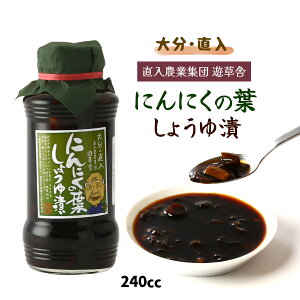 [_ƏWc V] 傤Â 啪E ɂɂ̗tݖЂ 240cc /啪 傤Ђ ݖ 傤 jjN jjN̗t 葢 r 㒲 _ƏWc 啪 