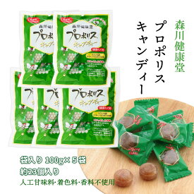 【スーパーセール価格】九州 熊本県 はちみつ のど飴 健康補助食品 健康管理 森川健康堂 プロポリスキャンディー 100g×5個