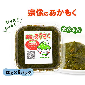 AJN  C  @Y X[p[t[h [}TGCYH] AJN @̂ 80g×8P