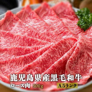 Y јa [X (A5N) 500g [OEX^WA] /јa A5 A5N  v[g p a