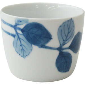 g ΗpH [l] }`Jbv ݂ / ΂傱 Β   A}] ʔ lC  VbsO