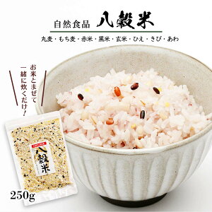 G [MBY] Y 250g /Y G  G ͂  ΂  | y ȒP ъ MB 쌧 8