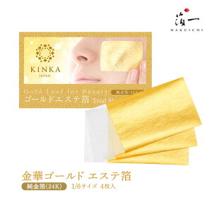 tFCXpbN [] ؃S[hGXe24K 1/6TCY 4 /bϕi }XN pbN et y GXe V[g^Cv  ʊ  n NX}Xv[g 蕨