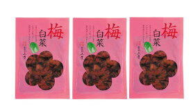 送料無料 [山豊] 漬物 広島菜 梅白菜 100g×3袋セット /広島 漬物 漬菜 広島菜 白菜 国産