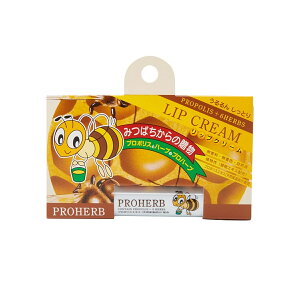 { I ݂͂ nj[ e [V{I] vn[u bvN[