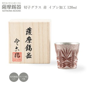 bsO  [FH|] OX F  ؎q OX () CuVH 120ml i96 F  蕨 Mtg hV̓ җj v[g ̓ 