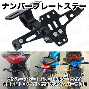 ナンバー プレート ステー ホルダー バイク 角度調整 LEDライト 付き カスタム パーツ 汎用 (ブラック)