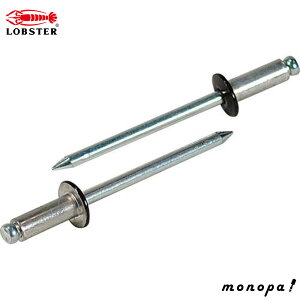 y100~OFFN[|zz 12/3~12/11z uebNX(Gr) J[xbg uY 4-2 1000{ CNSA42BR