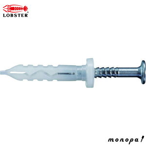 y100~OFFN[|zz 12/3~12/11z uebNX(Gr) lCvO(200{) 5X25mm NP525