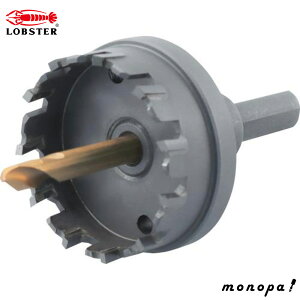 y200~OFFN[|zz 12/3~12/11z uebNX(Gr) dz\[(p) HO45SyHO-45Sz(3721892)