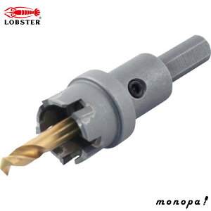 y100~OFFN[|zz 12/3~12/11z uebNX(Gr) dz\[(p) HO24SyHO-24Sz(3721680)