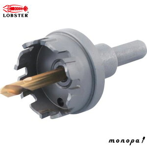 y200~OFFN[|zz 12/3~12/11z uebNX(Gr) dz\[(p) HO37SyHO-37Sz(3721817)