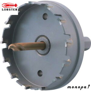 y1000~OFFN[|zz 12/3~12/11z uebNX(Gr) dz\[(p) HO70S HO-70S