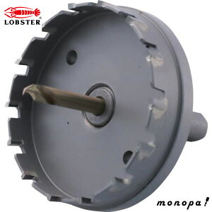 y1000~OFFN[|zz 12/3~12/11z uebNX(Gr) dz\[(p) HO75S HO-75S