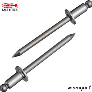 y200~OFFN[|zz 12/3~12/11z uebNX(Gr) uChxbgGRBOX 300{ NST53EB [̑]