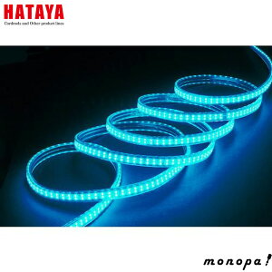 y1000~OFFN[|zz 12/3~12/11z n^ HATAYA LTP-20 B LED e[vCg Жʔ^CvṔE z