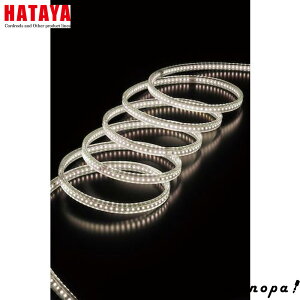y|Cg3{ 10/11~10/13z n^ HATAYA RLTP-10D [YiudlLED e[vCg ʔ^Cv z