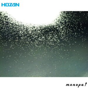 y100~OFFN[|zz 12/3~12/11z z[U HOZAN  SG-116