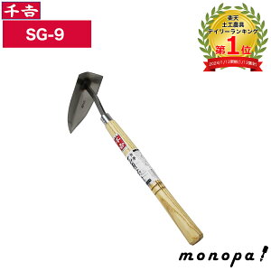 y|Cg2{ 11/2~11/3z g Y ЎOpz[ XeX SG-9