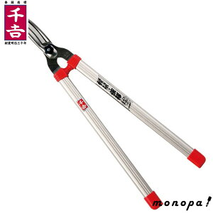 y200~OFFN[|zz 11/18~11/27z g Y p^pCv͌^ SGL-8