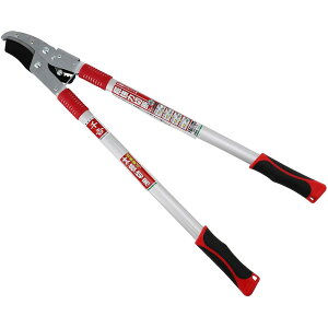 y|Cg2{ 11/28~11/29z g Y `Fbg } SGFL-3 