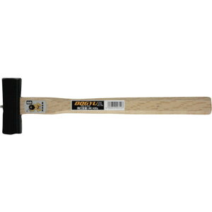 y100~OFFN[|zz 12/3~12/11z DOGYU \  00310