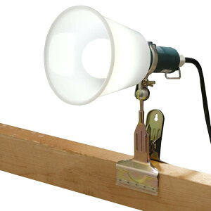 y|Cg2{ 11/2~11/3z ACXI[} LEDNbvCg hH^̓Nbv^Cv 60` ILW-85GBC3