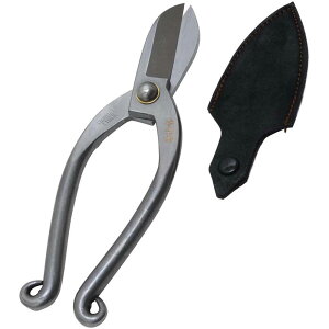 y100~OFFN[|zz 11/18~11/27z g Y  XeXrVV 165mm 