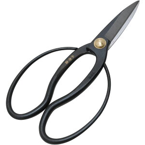 y2_ȏw5%OFFN[| 11/12~11/16z g Y  nv 200mm 