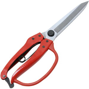 y100~OFFN[|zz 11/18~11/27z g Y t K[ht NO.6 