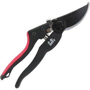 y2_ȏw5%OFFN[| 11/12~11/16z g Y OXt@Co[ 200mm SGFP-5 