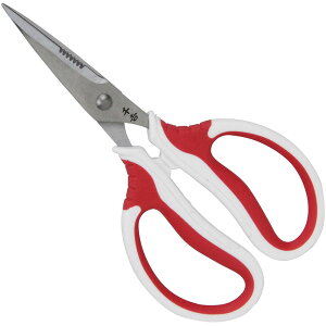 y|Cg3{ 11/18~11/27z g Y K[f MUnt SGP-46 