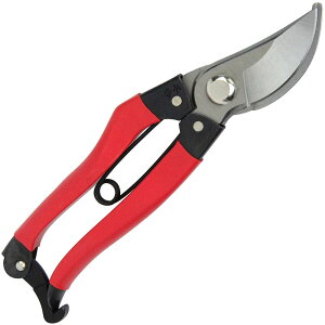 y|Cg3{ 10/24~10/27z g Y ^  180mm SGP-49 