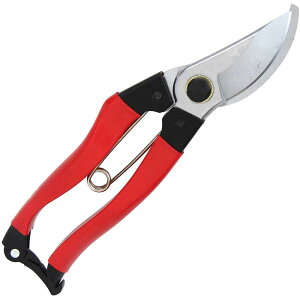 y2_ȏw5%OFFN[| 11/12~11/16z g Y   200mm SGP-50 