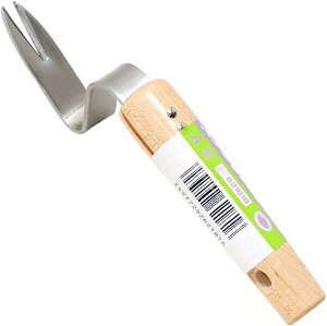 y100~OFFN[|zz 12/3~12/11z g Y Kтɂ XeX G