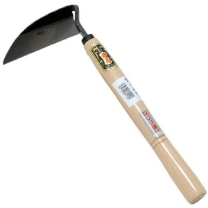 y|Cg3{ 12/3~12/11z n ˂芙 |t 芙 