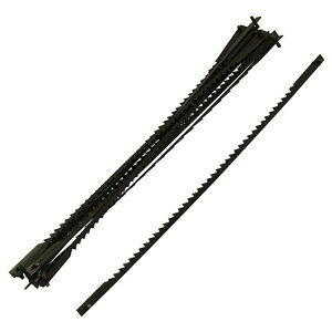 y|Cg3{ 11/18~11/27z SK11 Y dnؗp10{ SI-38PqKGgJ