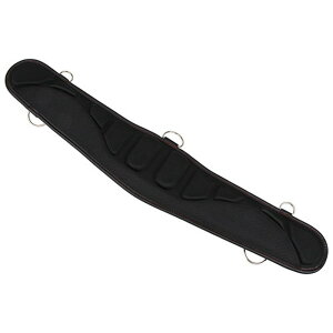 y|Cg2{ 11/2~11/3z SK11 Y GA[tBbgT|[gxg SFS-AIR-SDX-RD  ƃxg ܑΉ HΉ