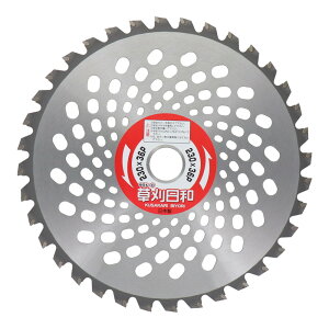 y|Cg3{ 10/30~11/1zOR[|[V IDw `bv\[ a 230X36P 004008 @̐n  @ p @ ΂ɋ ւn