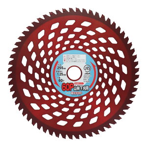 y|Cg2{ 11/2~11/3z OR[|[V a Rщ`bv\[ 004074 @̐n  @ p @ ΂ɋ ւn