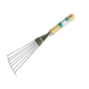 y|Cg3{ 11/4~11/11z OR[|[V sita N[ؕ nfB[[L A419 030009 g{   n K[f 