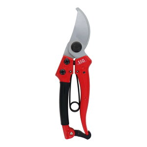 y|Cg3{ 11/4~11/11z OR[|[V SIG  G025 108125 ΂ oT~  nT~ ͂