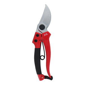 y|Cg3{ 10/30~11/1zOR[|[V SIG  G026 108126 ΂ oT~  nT~ ͂