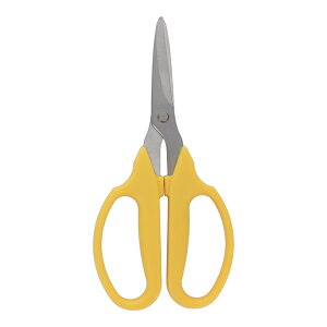 y|Cg3{ 11/4~11/11z OR[|[V sita XeX}MUn A007 331007 ΂ oT~  nT~ ͂