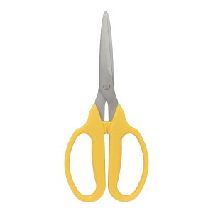 y|Cg3{ 11/4~11/11z OR[|[V sita XeX}OMUn A008 331008 ΂ oT~  nT~ ͂