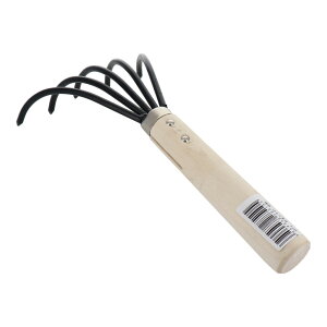 y|Cg3{ 11/18~11/27z OR[|[V sita ZE҃N}f A407 331407 ܂ N}f W